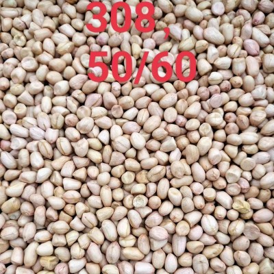 粒红皮花生带壳新鲜货晒干红衣花生生花生带壳500克散装图5