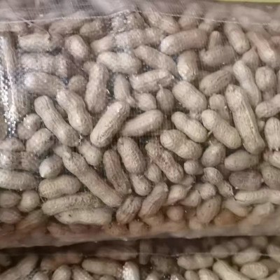 粒红皮花生带壳新鲜货晒干红衣花生生花生带壳500克散装图6