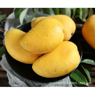 芒果新鲜水果金煌芒产地直发时令水果图4