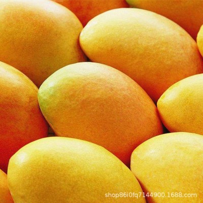 芒果新鲜水果金煌芒产地直发时令水果图6