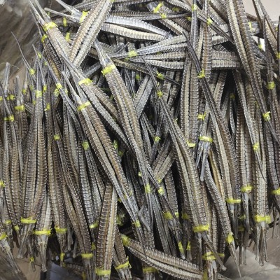 1对公母海龙大号六角龙 中药药材批发海龙 可泡酒 煲汤 磨粉 海货图2