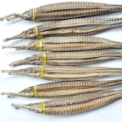 1对公母海龙大号六角龙 中药药材批发海龙 可泡酒 煲汤 磨粉 海货