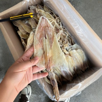 北海船晒华侨鱿鱼干 吊晒1尤 淡干 水煮鱿鱼 海鲜干货500g