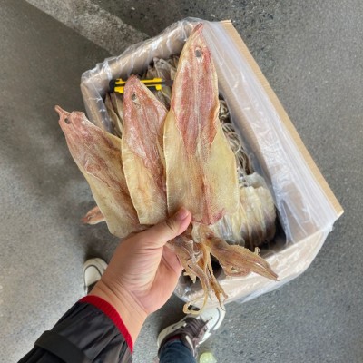 北海船晒华侨鱿鱼干 吊晒1尤 淡干 水煮鱿鱼 海鲜干货500g图4