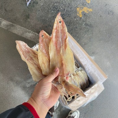 北海船晒华侨鱿鱼干 吊晒1尤 淡干 水煮鱿鱼 海鲜干货500g图2