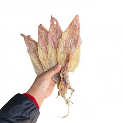 北海船晒华侨鱿鱼干 吊晒1尤 淡干 水煮鱿鱼 海鲜干货500g图5