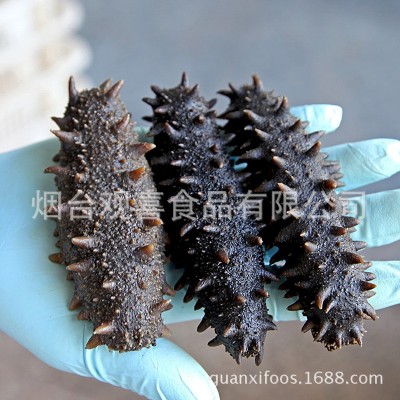 青参拉缸盐海参半干大头刺参 盐渍腌渍海参 一手货源图4