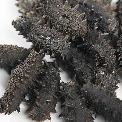 青参拉缸盐海参半干大头刺参 盐渍腌渍海参 一手货源图2