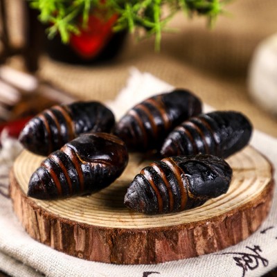 新鲜东北蝉蛹蚕蛹新鲜长年大量供应柞蚕蛹鲜蚕蛹茧蛹3-4厘米图3