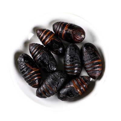 新鲜东北蝉蛹蚕蛹新鲜长年大量供应柞蚕蛹鲜蚕蛹茧蛹3-4厘米图5