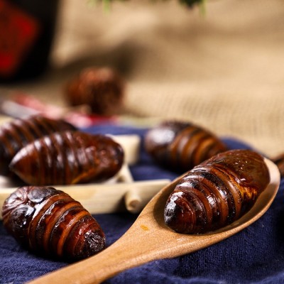 新鲜东北蝉蛹长年供应大量新蚕蛹柞蚕蛹茧蛹批发3-4厘米图2