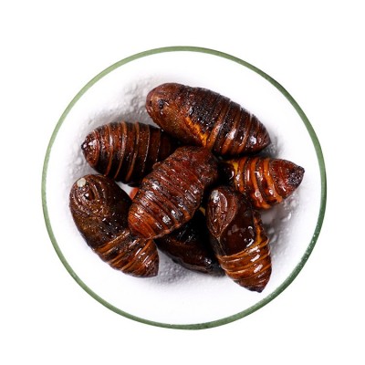 新鲜东北蝉蛹长年供应大量新蚕蛹柞蚕蛹茧蛹批发3-4厘米图5