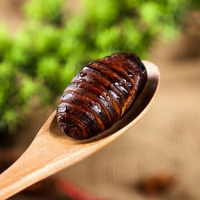 新鲜东北蝉蛹长年供应大量新蚕蛹柞蚕蛹茧蛹批发3-4厘米图4