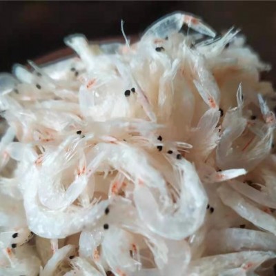 山东鲁滨海产 原产地海鲜批发销售 鲜虾皮 工厂直供 批发新鲜虾