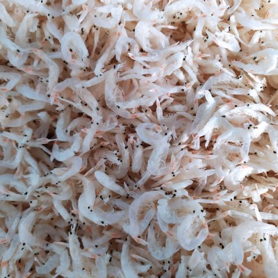 山东鲁滨海产 原产地海鲜批发销售 鲜虾皮 工厂直供 批发新鲜虾图5