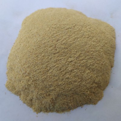 山东鲁滨海产 原产地 虾粉 批发 销售 干制海鲜粉 干制海产品图4