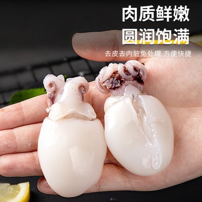 墨鱼仔墨鱼新鲜冷冻去内脏章鱼仔小八爪鱼小乌贼墨鱼仔批发图3