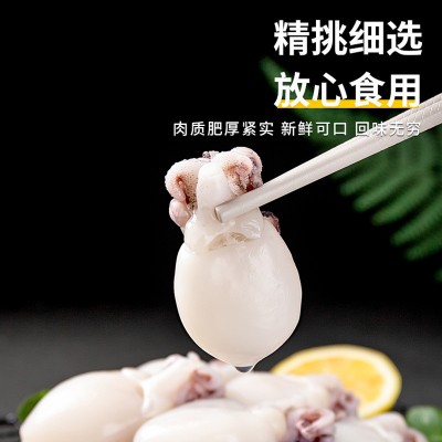 墨鱼仔墨鱼新鲜冷冻去内脏章鱼仔小八爪鱼小乌贼墨鱼仔批发图4