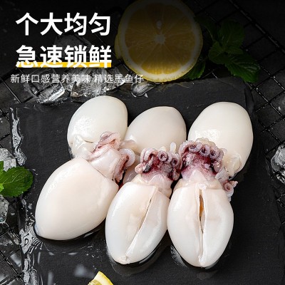 墨鱼仔墨鱼新鲜冷冻去内脏章鱼仔小八爪鱼小乌贼墨鱼仔批发图2