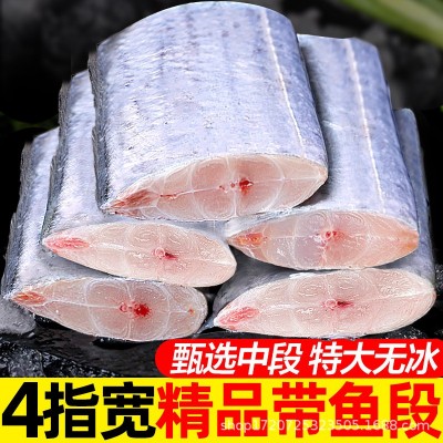 冷冻带鱼段成品批发无冰带鱼段冻品整箱东海小眼带鱼中段新货图2