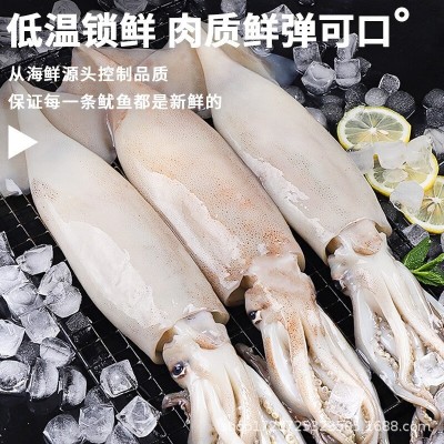 超大鱿鱼新鲜野生海捕整只鱿鱼冷冻海鲜水产火锅配菜烧烤食材批发图3