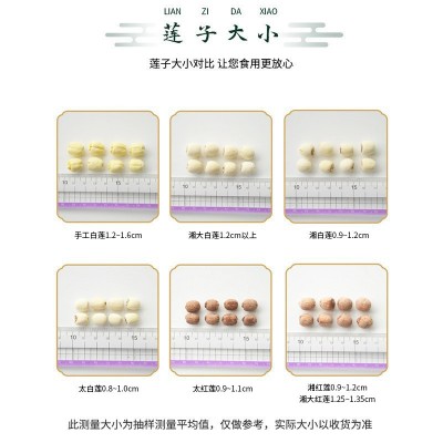 贡莲皇大号湘去芯白莲直径12.5mm 2023现采现摘白莲干货批发500g图2