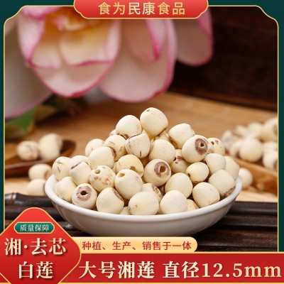 贡莲皇大号湘去芯白莲直径12.5mm 2023现采现摘白莲干货批发500g图2