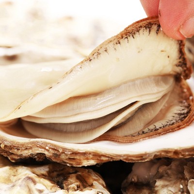 半壳生蚝特大原浆牡蛎鲜活冷冻新鲜带壳生蚝烧烤商用批发图3