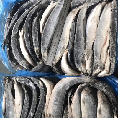 供应冷冻海鲜青鱼冻鲱鱼箱装大宗批发整鱼太平洋深海捕捞深海冻鲜图2