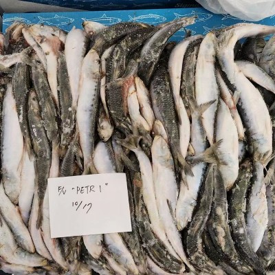 批发冷冻沙丁鱼太平洋原包装原条船冻23KG每件海水海鲜图2