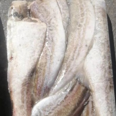速冻保鲜阿拉斯加狭鳕深海去头鳕鱼两去冷冻去内脏鳕鱼排商用鳕鱼图2
