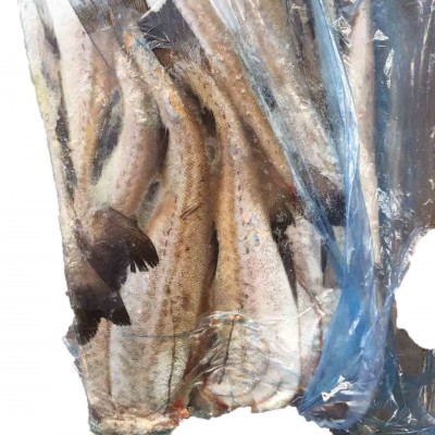 速冻保鲜阿拉斯加狭鳕深海去头鳕鱼两去冷冻去内脏鳕鱼排商用鳕鱼图5