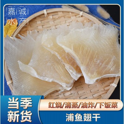厂家批发天九翅鱼翅海狗翅海鲜煲汤蒲鱼翅天星翅电商零售海鲜干货图2