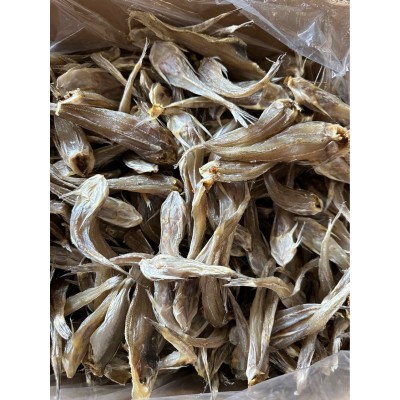 新鲜淡晒沙丁鱼干野生新晒沙甲鱼日晒风干深海鱼干海鲜干货500g批图5