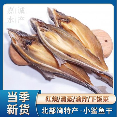 [广西北海特产小鲨鱼干风干海鱼干货宠物磨牙小鱼干海鲜干货批发