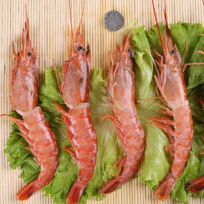 阿根廷大红虾 特大红虾刺身海鲜黑虎虾特大海捕虾鲜活速冻超大虾