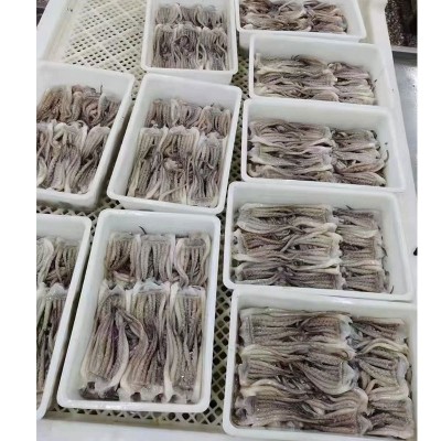 冷冻鱿鱼须新鲜章鱼足八爪鱼海鲜冷冻水产火锅烧烤食材酒店批发图5