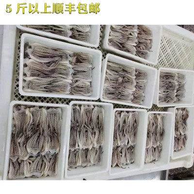 冷冻鱿鱼须新鲜章鱼足八爪鱼海鲜冷冻水产火锅烧烤食材酒店批发图3