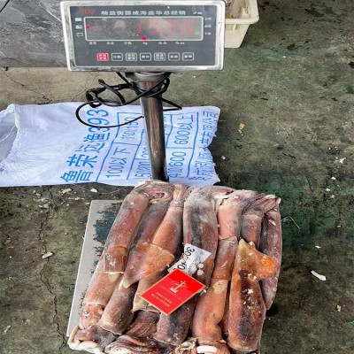 冷冻鱿鱼原条鱿鱼定装25斤带头鲜鱿鱼阿根廷鱿鱼铁板烧烤鲜鱿散装图3
