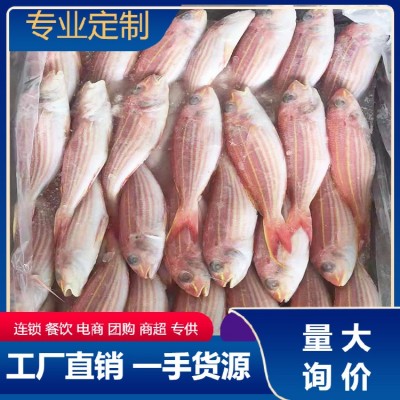 冰鲜新鲜金线鱼300至500克钓鲤金丝海鱼红衫鱼红三鱼海鱼量大询价