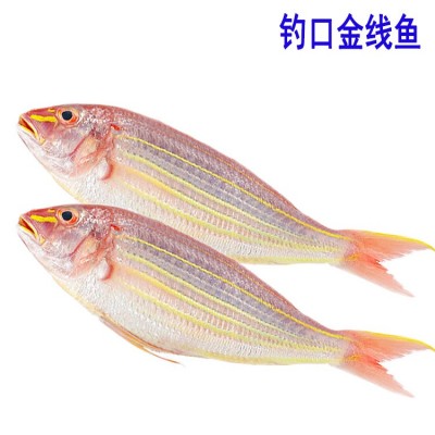 冰鲜新鲜金线鱼300至500克钓鲤金丝海鱼红衫鱼红三鱼海鱼量大询价图2