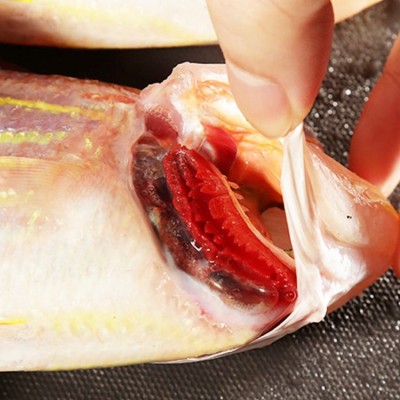 冰鲜新鲜金线鱼300至500克钓鲤金丝海鱼红衫鱼红三鱼海鱼量大询价图4