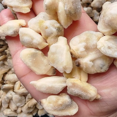 蛤蜊肉速冻花蛤肉黄蚬子肉花甲肉10斤装新鲜贝类文蛤花螺海鲜即食图2