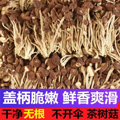茶树菇干货新货不开伞500g新鲜炖汤古田茶树菇干货一斤不开伞茶菇