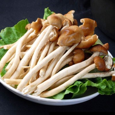 茶树菇干货新货不开伞500g新鲜炖汤古田茶树菇干货一斤不开伞茶菇图3