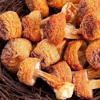 姬松茸干货新鲜姬松茸非云南特级特产松茸菌煲汤食材家用当季新货图2