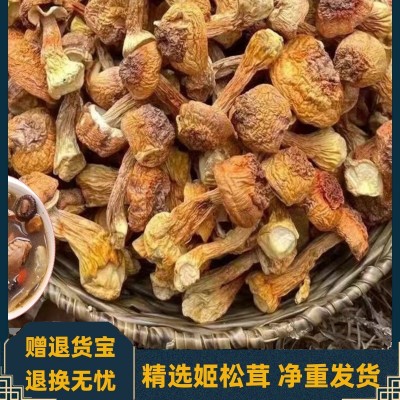 姬松茸干货新鲜姬松茸非云南特级特产松茸菌煲汤食材家用当季新货