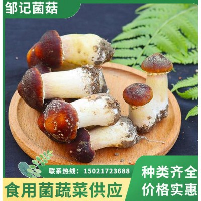 邹记菌菇 赤松茸批发 菌肉肥厚 煲汤炒菜鲜香浓郁 产地直供锁鲜直达图2