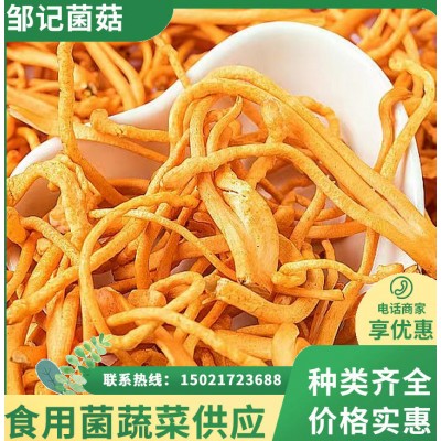 鲜虫草花 冷链直达 煲汤鲜甜爽口根茎短小干净 朵形完整图4