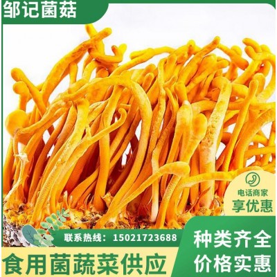 鲜虫草花 冷链直达 煲汤鲜甜爽口根茎短小干净 朵形完整图5